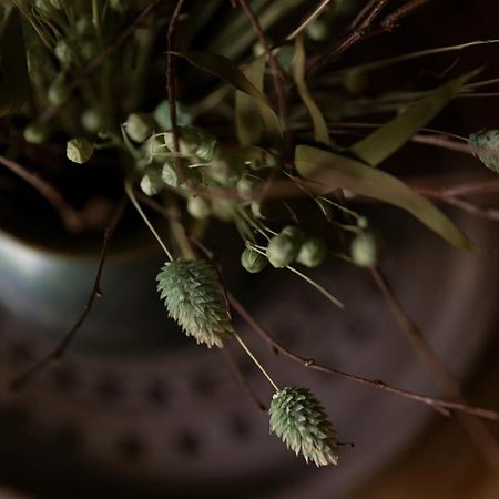 Coffee Apartment 그디니아 외부 사진